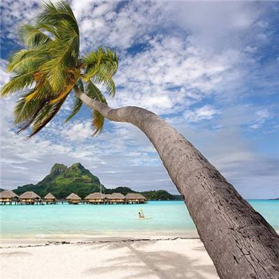 皇冠·app手机app下载截图